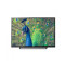 Sony Bravia W602D 32 inch Wi-Fi Smart LED TV